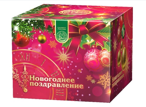 Новогоднее поздравление С105049 в Новопавловске — 8 500 ₽