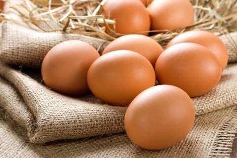Домашние куриные яйца в Пятигорске — 100 ₽