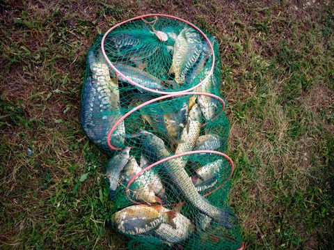 Обычная рыбалка в Пятигорске — 500 ₽