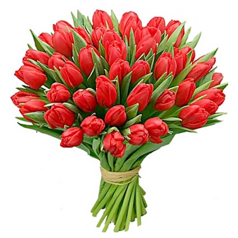 Тюльпаны красные - 70 ₽