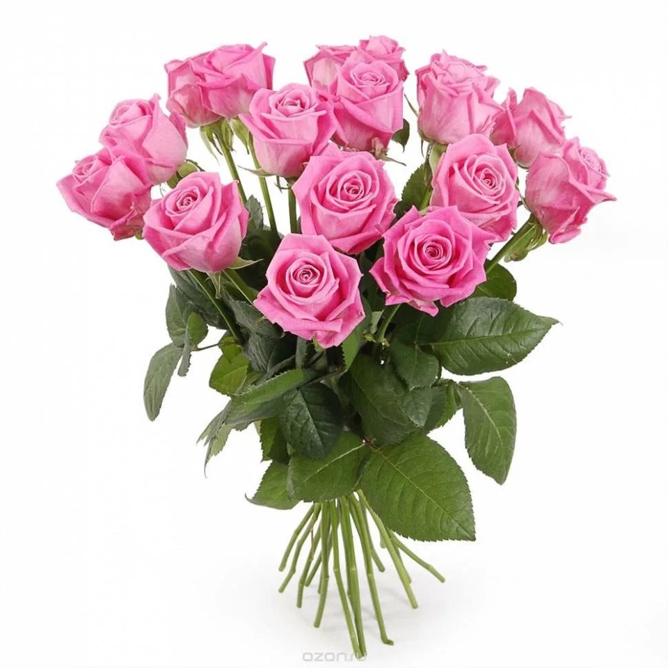 Роза розовая - 100 ₽, заказать онлайн.