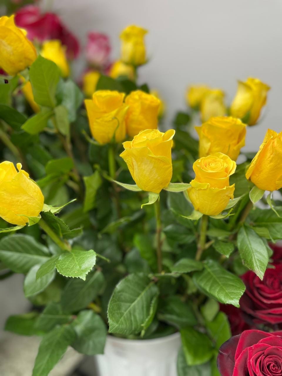 Розы Эквадор в ассортименте - 220 ₽, заказать онлайн.