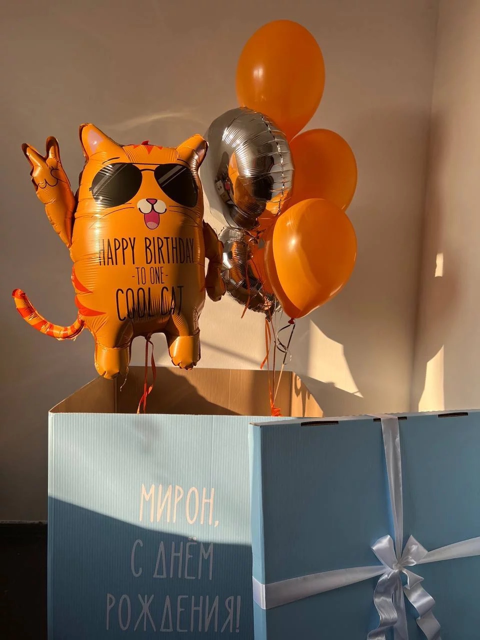 WOW-коробка "Cool cat!" - 3 120 ₽, заказать онлайн.