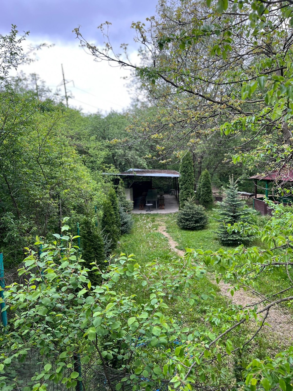 База отдыха Green House  - Пятигорск