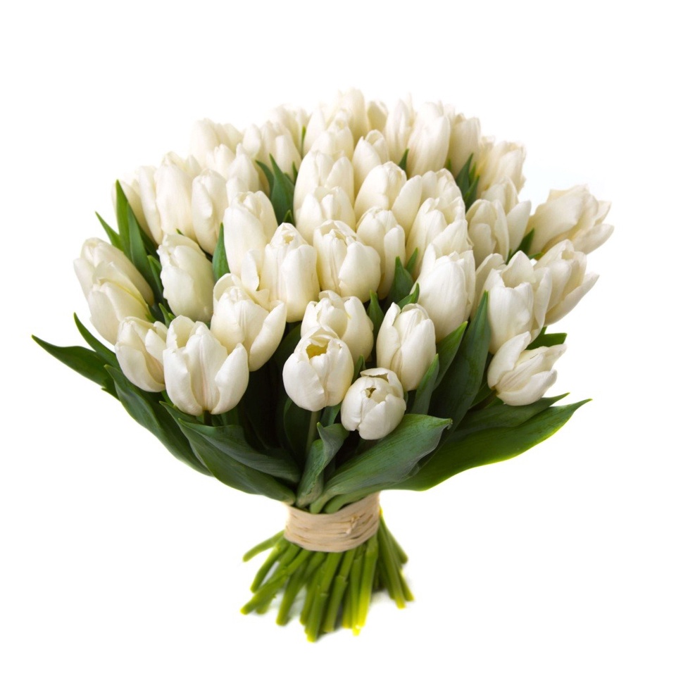 Тюльпаны белые - 70 ₽, заказать онлайн.