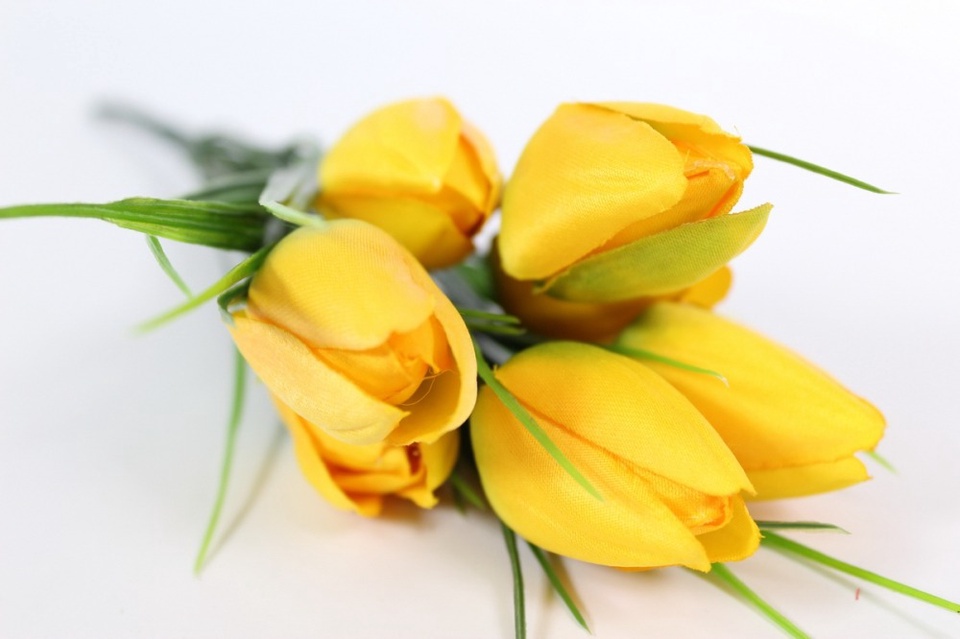 Тюльпаны желтые - 70 ₽, заказать онлайн.