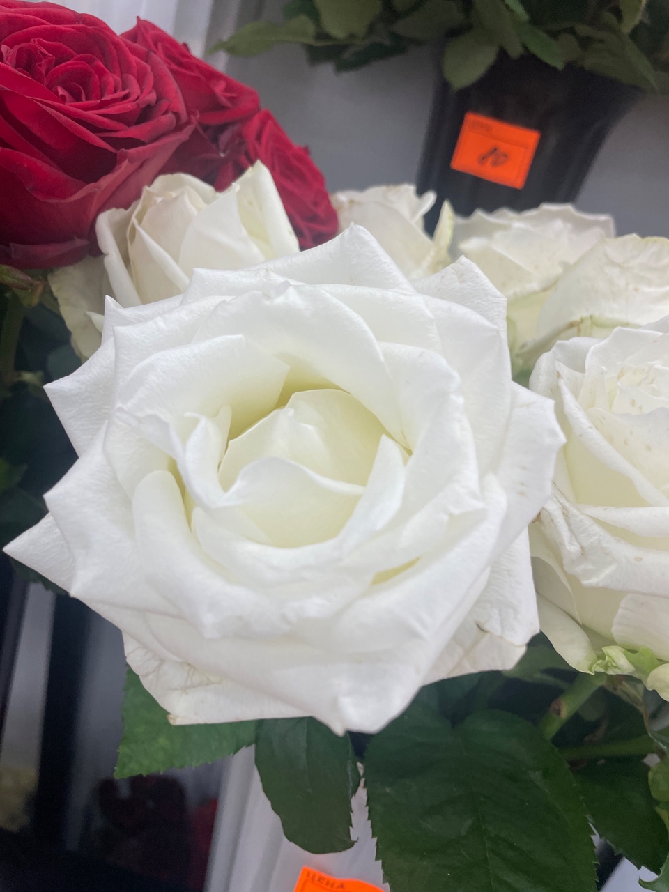 Розы - 70 ₽, заказать онлайн.