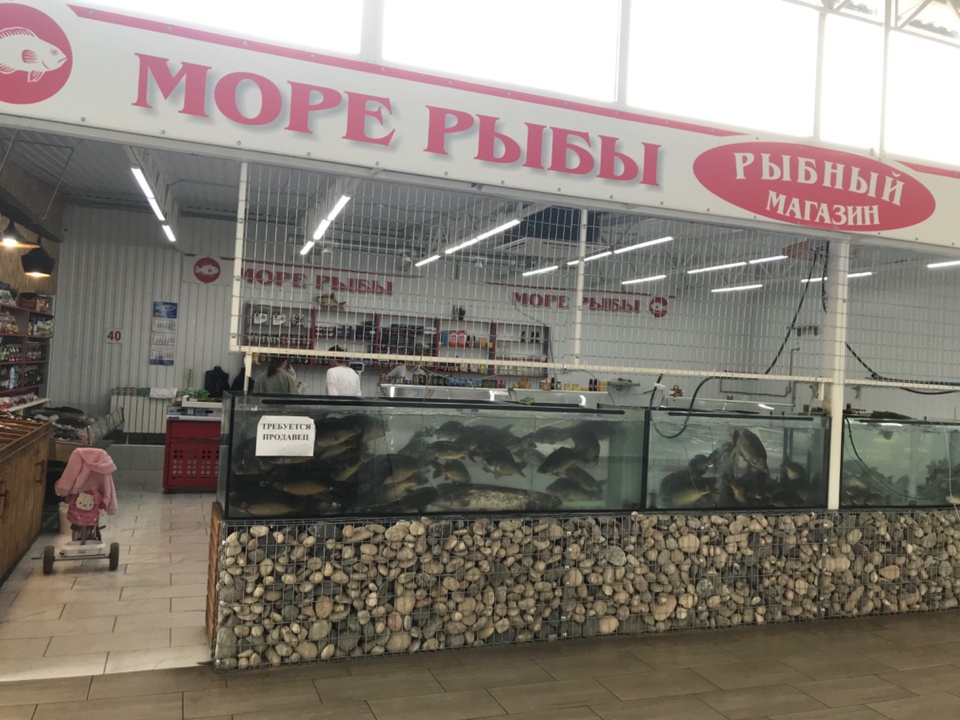 Рыбный магазин «Море Рыбы» - Пятигорск