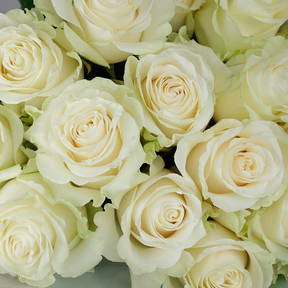 15 белых роз премиум класса - 2 790 ₽, заказать онлайн.