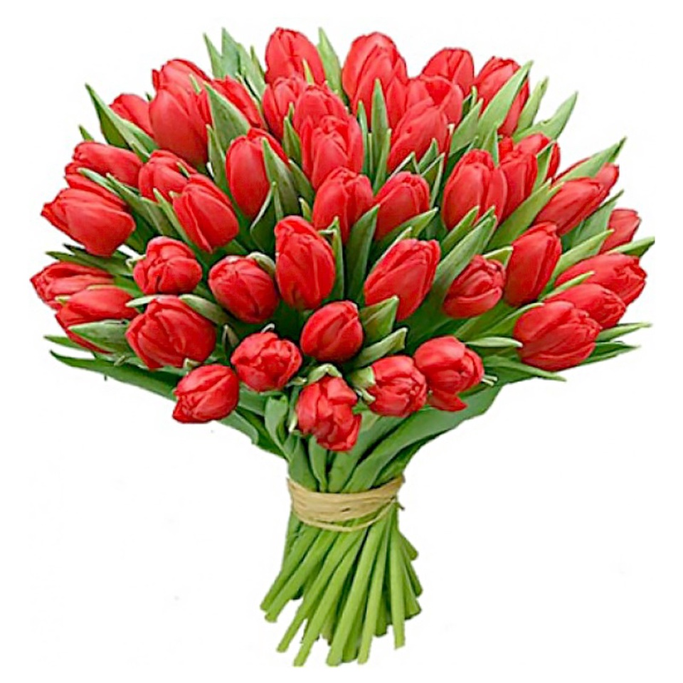 Тюльпаны красные - 70 ₽, заказать онлайн.