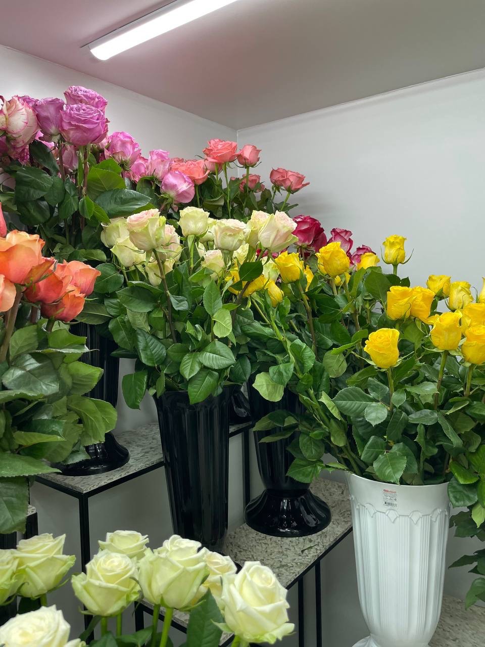 Розы Эквадор в ассортименте - 220 ₽, заказать онлайн.
